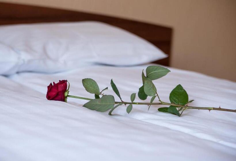 带1个卧室的豪华公寓, Hetmański