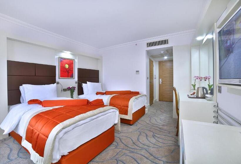 اتاق استاندارد سه نفره, Elazığ Marathon