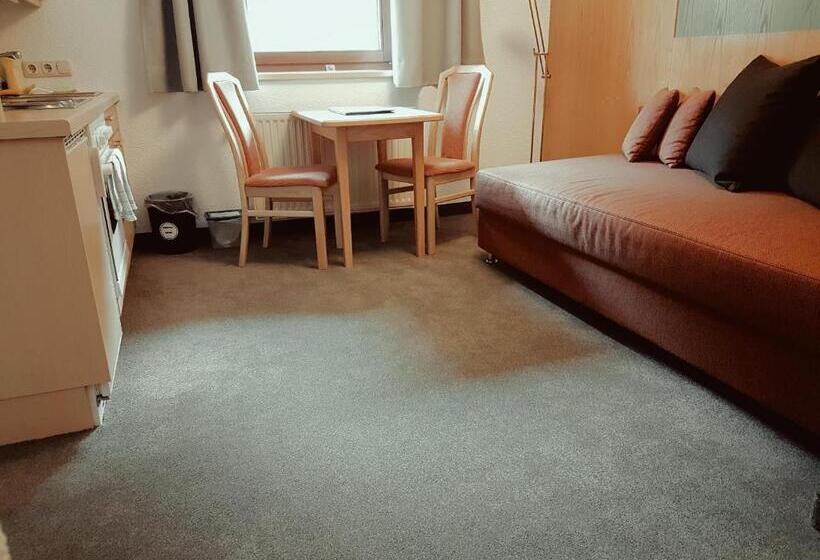 １ベッドルームアパートメント, Pension Kirchplatz