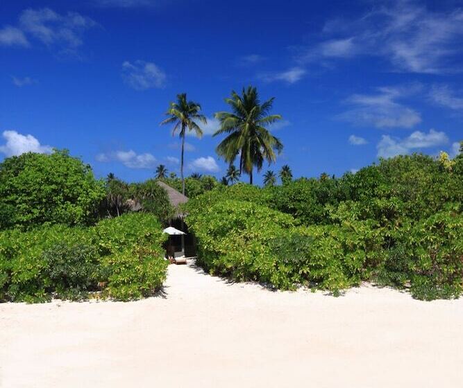 ویلای یک اتاق خوابه با استخر شنا, Six Senses Laamu