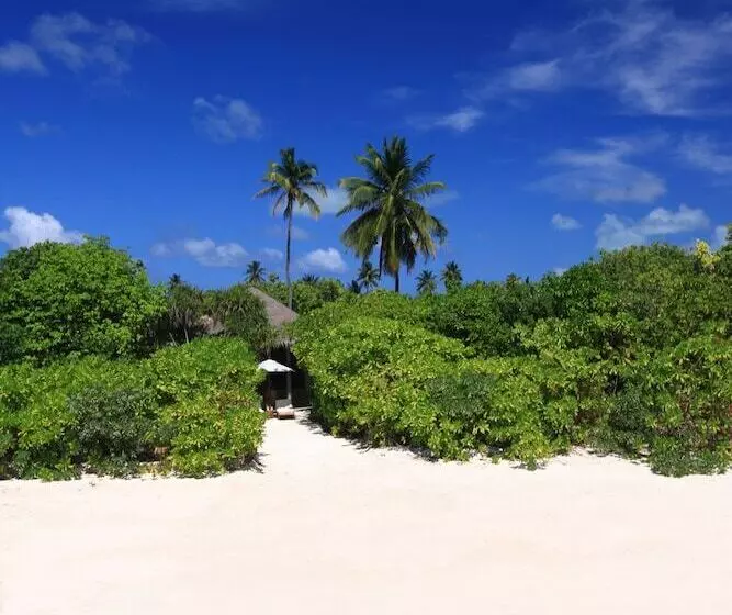 ویلای یک اتاق خوابه با استخر شنا, Six Senses Laamu