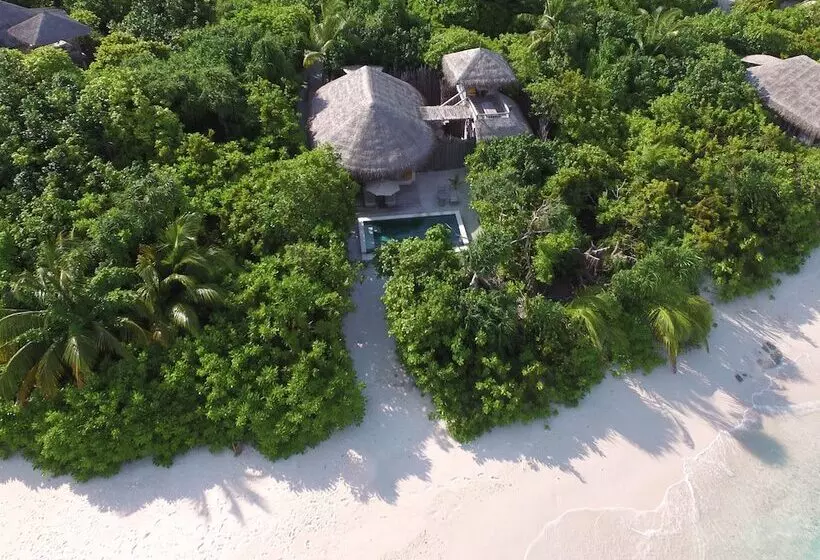 ویلای یک اتاق خوابه با استخر شنا, Six Senses Laamu