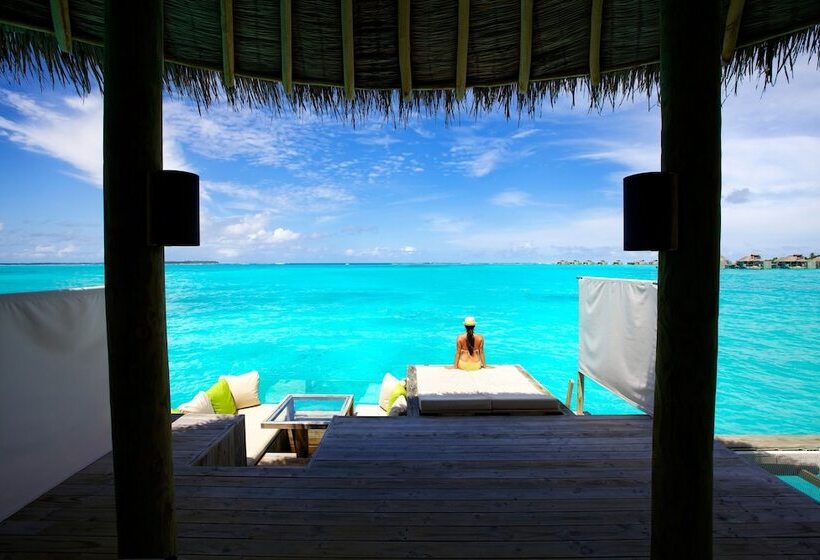 ویلای 1 خوابه با چشم‌انداز دریا, Six Senses Laamu