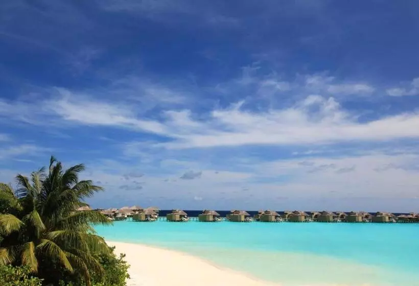ویلای 1 خوابه, Six Senses Laamu