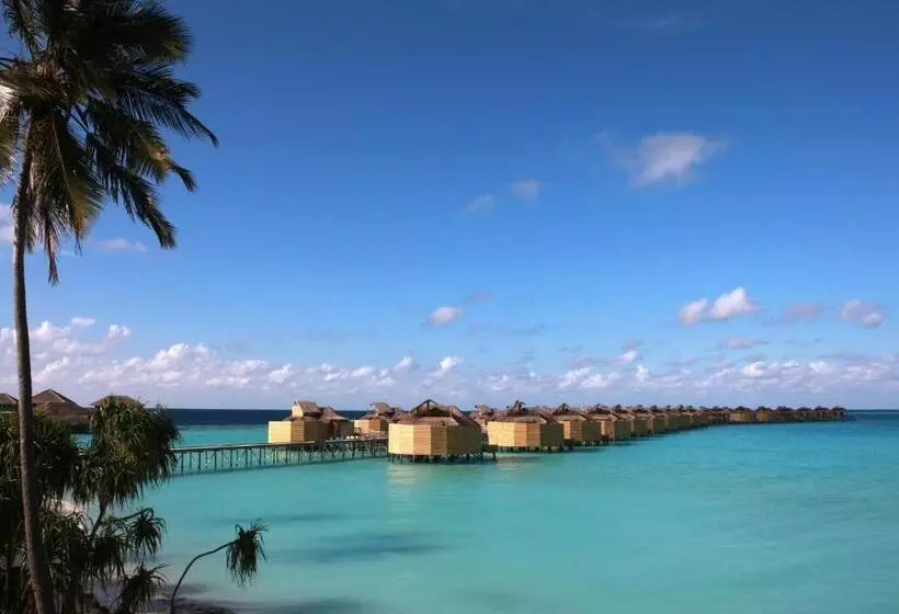 ویلای 1 خوابه, Six Senses Laamu