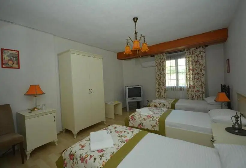 Economy Triple Room, Casa Villa