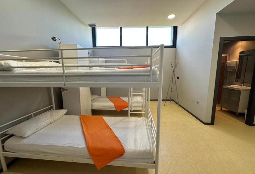 スタンダード４人部屋, Vigo Beds & Rooms