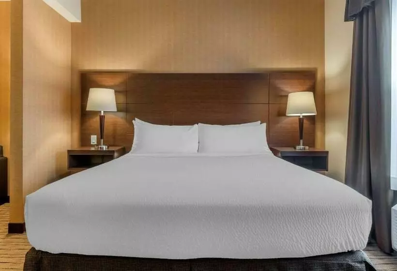 身障者適用キングサイズベッドルーム, Best Western Plus, Bathurst Hotel & Suites