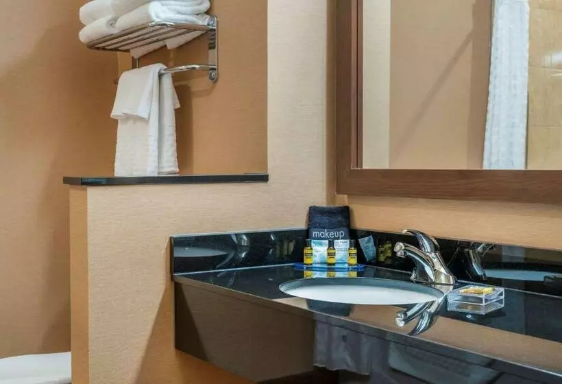 身障者適用キングサイズベッドルーム, Best Western Plus, Bathurst Hotel & Suites