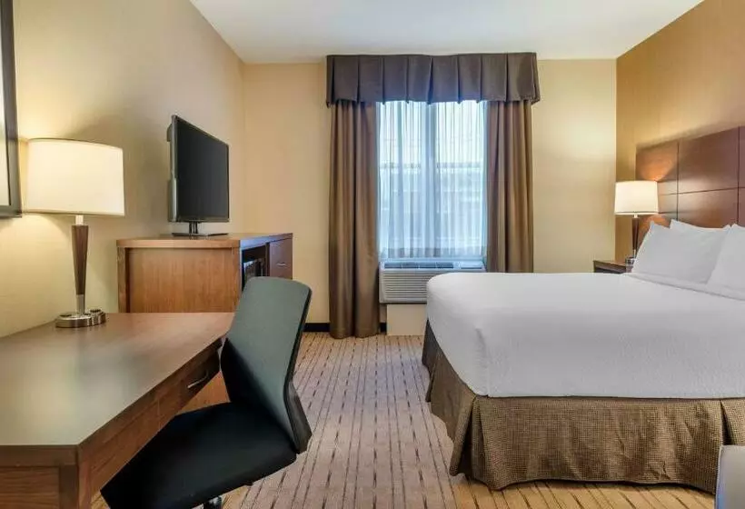 身障者適用キングサイズベッドルーム, Best Western Plus, Bathurst Hotel & Suites