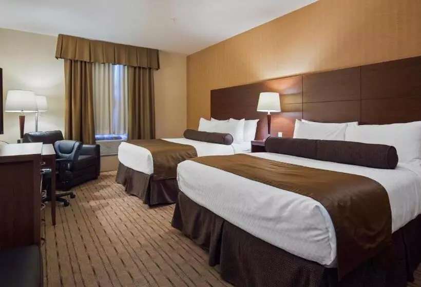 スタンダードルーム, Best Western Plus, Bathurst Hotel & Suites
