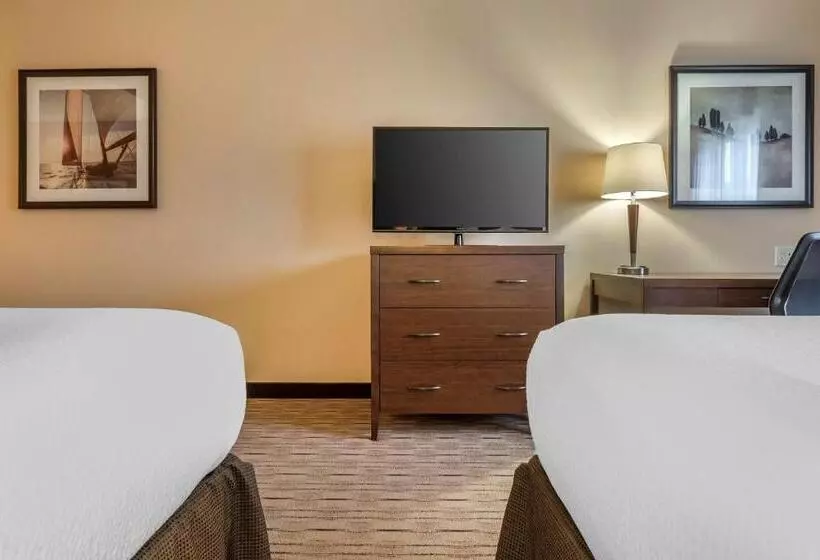 スタンダードルーム, Best Western Plus, Bathurst Hotel & Suites