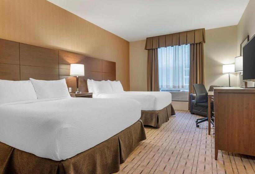 スタンダードルーム, Best Western Plus, Bathurst Hotel & Suites