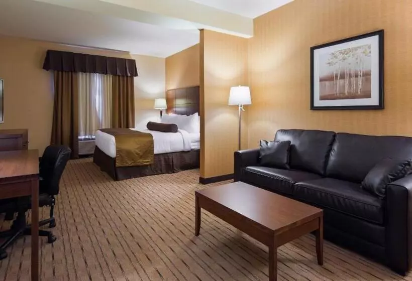 キングサイズベッドのスタンダードルーム, Best Western Plus, Bathurst Hotel & Suites