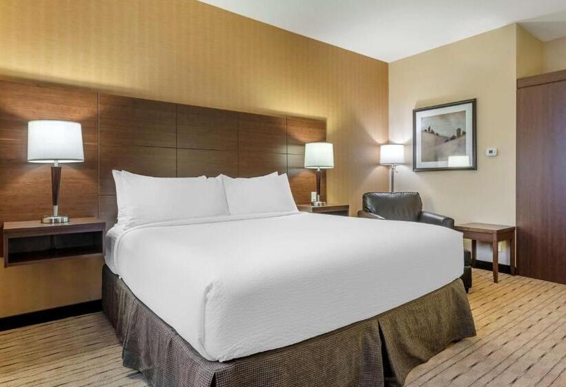 キングサイズベッドのスタンダードルーム, Best Western Plus, Bathurst Hotel & Suites