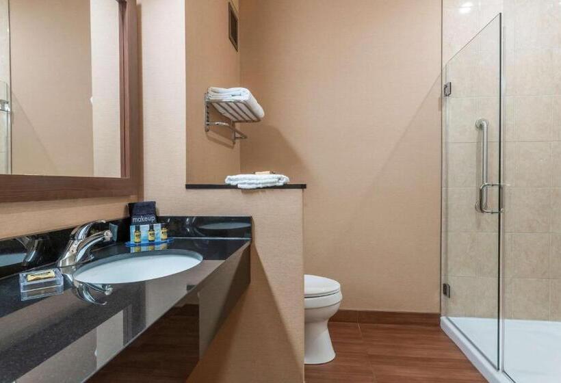 جناح, Best Western Plus, Bathurst Hotel & Suites