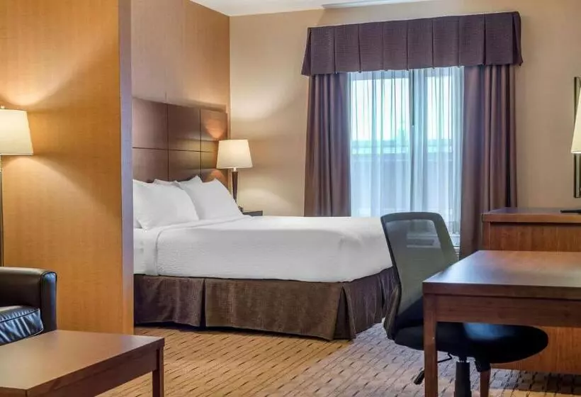 キングサイズベッドのスイートルーム, Best Western Plus, Bathurst Hotel & Suites