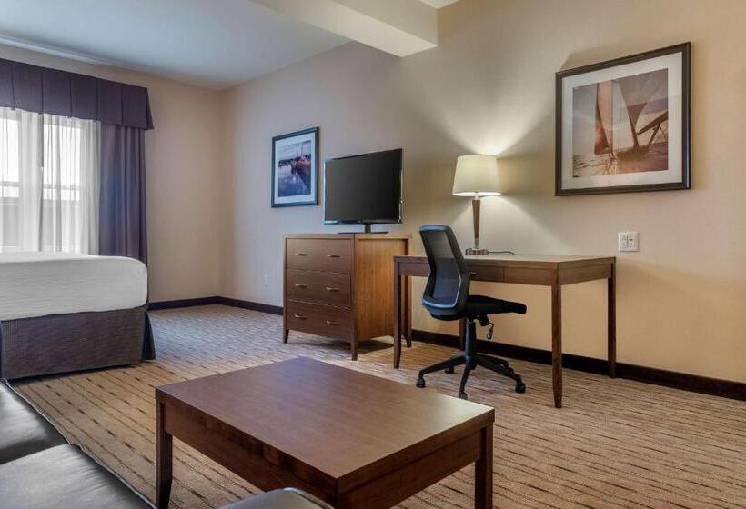 キングサイズベッドのスイートルーム, Best Western Plus, Bathurst Hotel & Suites