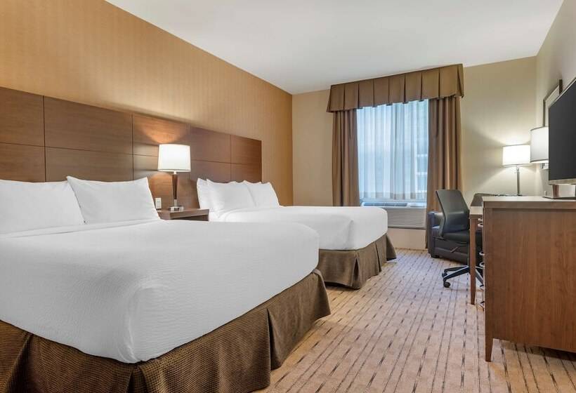 スイート, Best Western Plus, Bathurst Hotel & Suites
