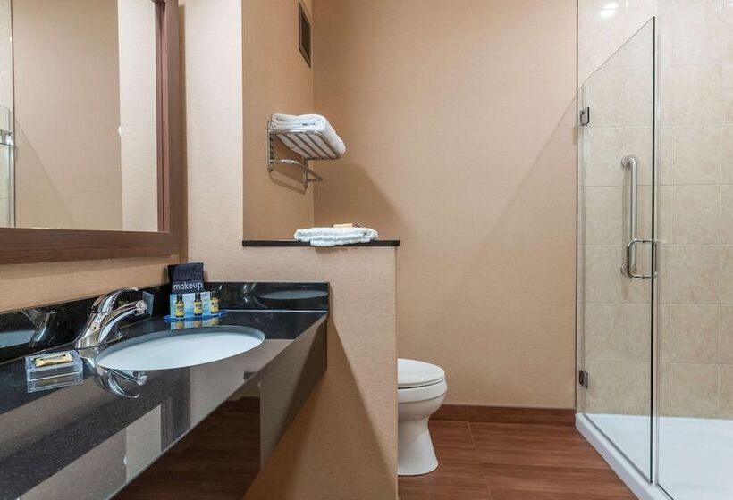 جناح, Best Western Plus, Bathurst Hotel & Suites