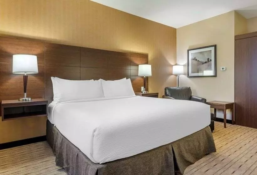 スイート, Best Western Plus, Bathurst Hotel & Suites