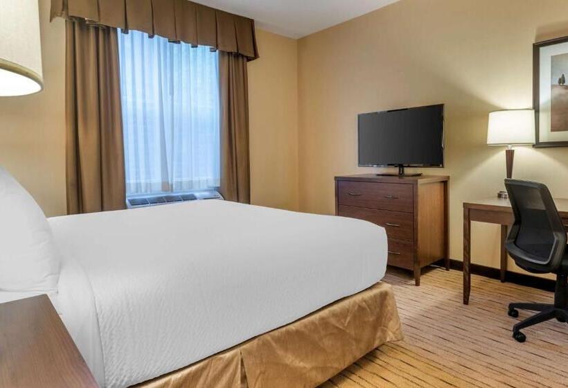 キングサイズベッドのスイートルーム, Best Western Plus, Bathurst Hotel & Suites