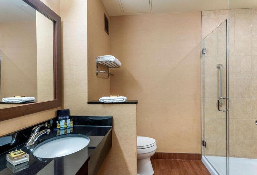 جناح سرير كينج, Best Western Plus, Bathurst Hotel & Suites