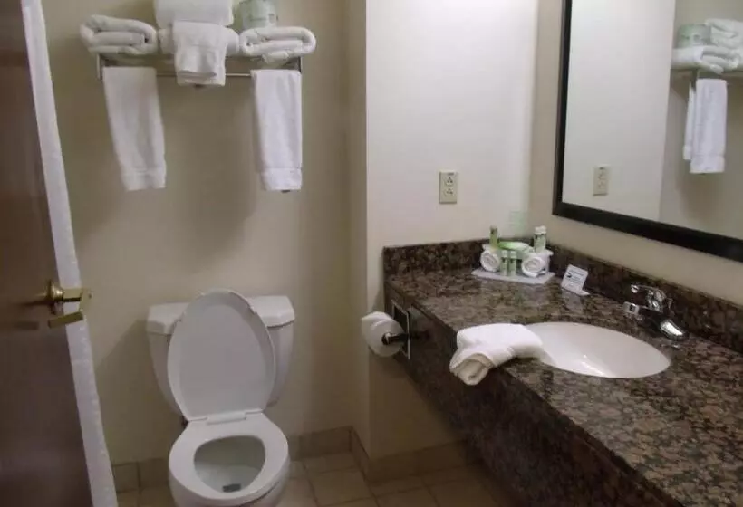 キングサイズベッドのスタンダードルーム, Holiday Inn Express Hotel And Suites Marysville, An Ihg