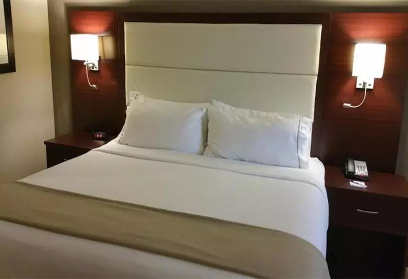 キングサイズベッドのエクゼクティブルーム, Holiday Inn Express & Suites Lantana, An Ihg