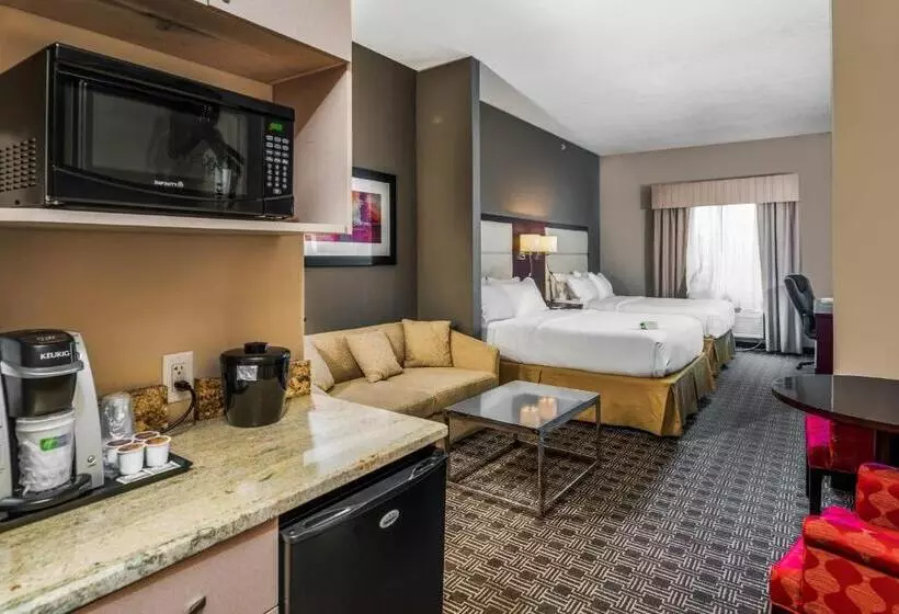 スタンダードスタジオ, Holiday Inn Express & Suites Lantana, An Ihg