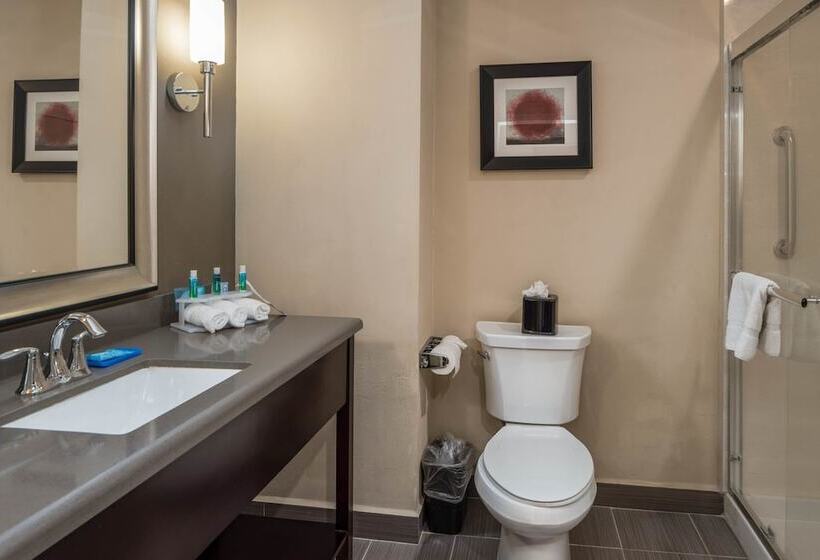 Номер Стандарт, Holiday Inn Express & Suites Lantana, An Ihg