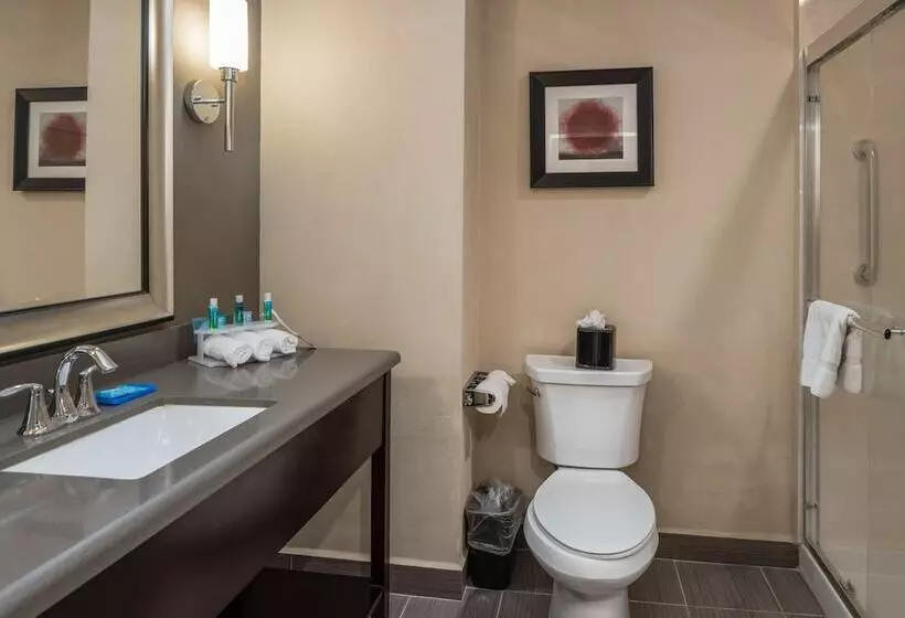 スタンダードルーム, Holiday Inn Express & Suites Lantana, An Ihg