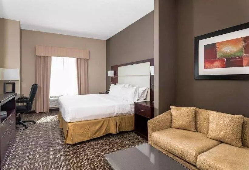 スタンダードルーム, Holiday Inn Express & Suites Lantana, An Ihg