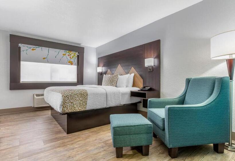 חדר סטנדרט עם מיטת קינג, Brookstone Lodge Near Biltmore Village, Ascend Hotel Collection