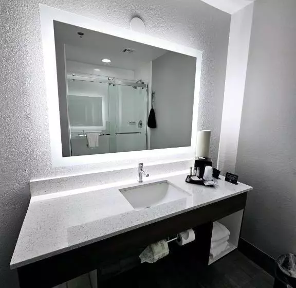 身障者適用キングサイズベッドルーム, Brookstone Lodge Near Biltmore Village, Ascend Hotel Collection