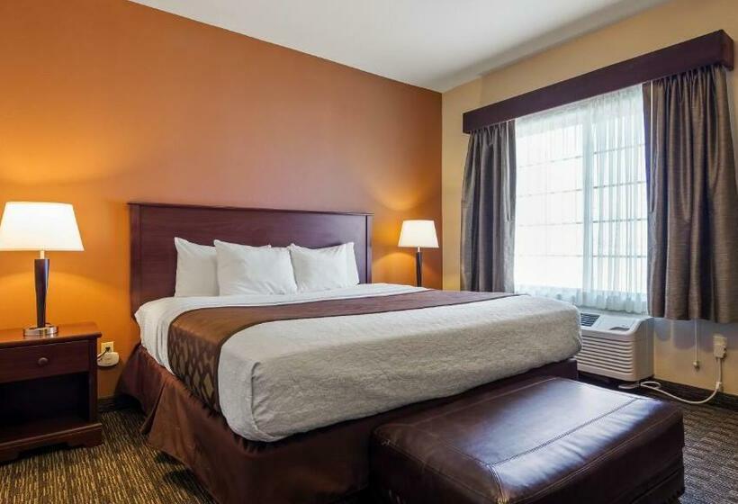 اتاق استاندارد با تخت بزرگ, Best Western North Edge Inn