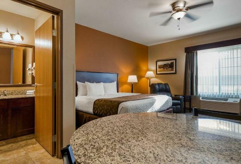 اتاق استاندارد با تخت بزرگ, Best Western North Edge Inn