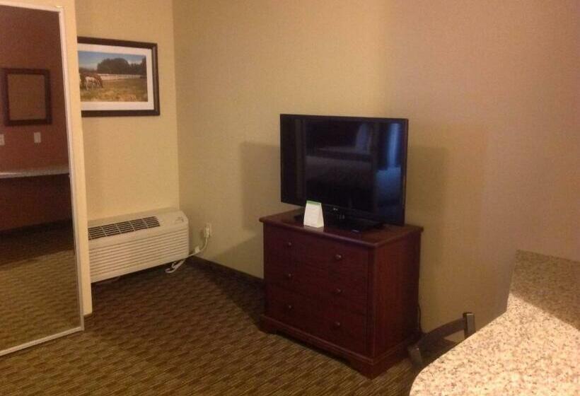 اتاق استاندارد با تخت بزرگ, Best Western North Edge Inn