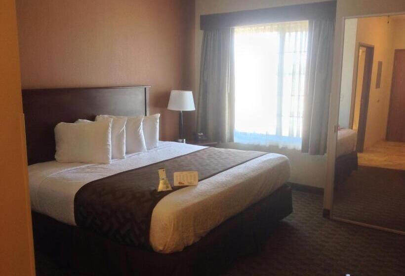 اتاق استاندارد با تخت بزرگ, Best Western North Edge Inn