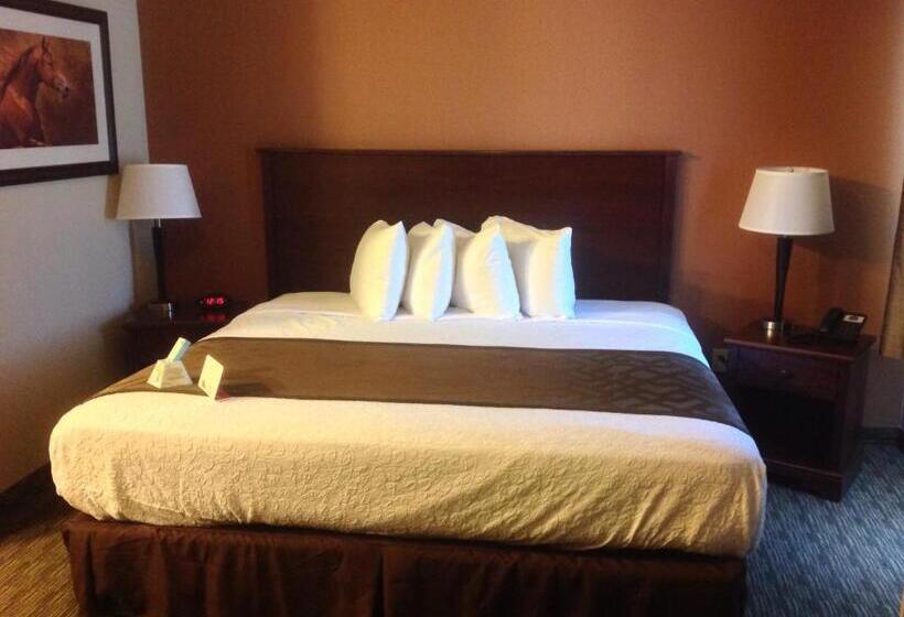 اتاق استاندارد با تخت بزرگ, Best Western North Edge Inn