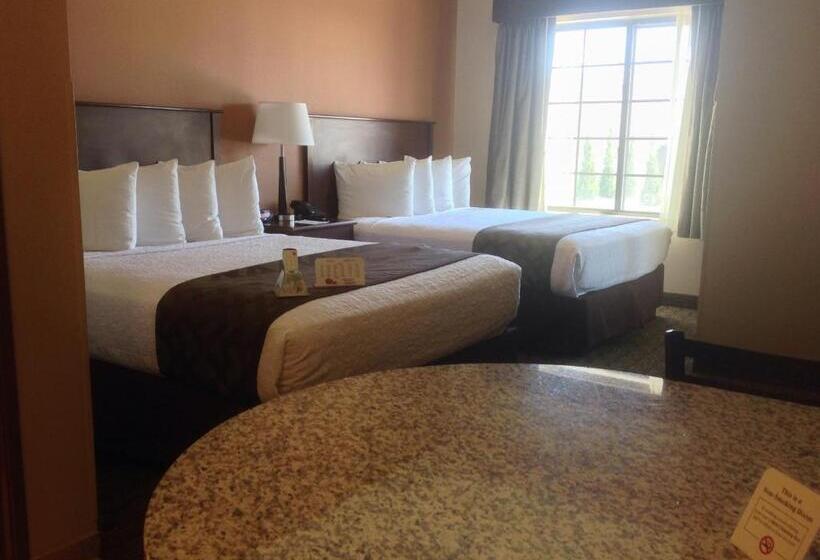身障者適用スタンダードルーム, Best Western North Edge Inn