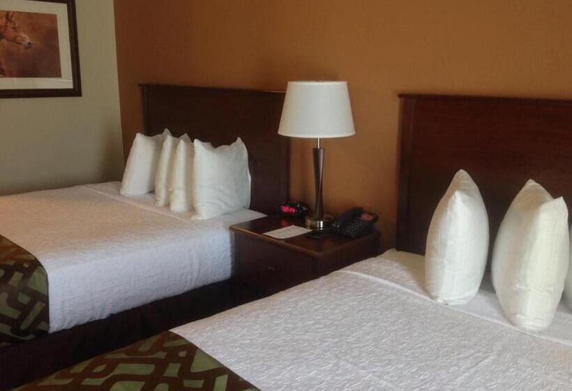 اتاق استاندارد برای معلولان, Best Western North Edge Inn