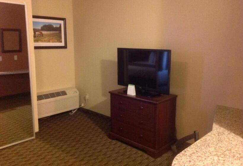 اتاق استاندارد برای معلولان, Best Western North Edge Inn