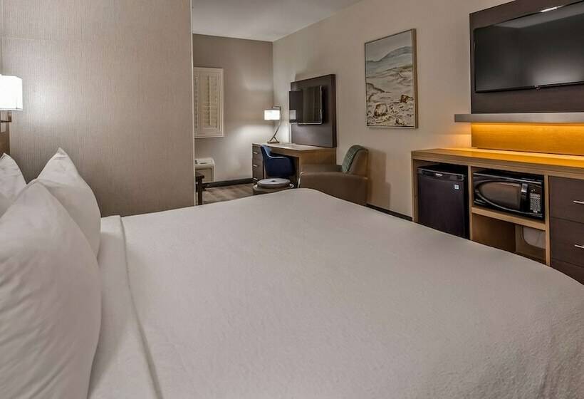 Люкс, Best Western Plus Safford