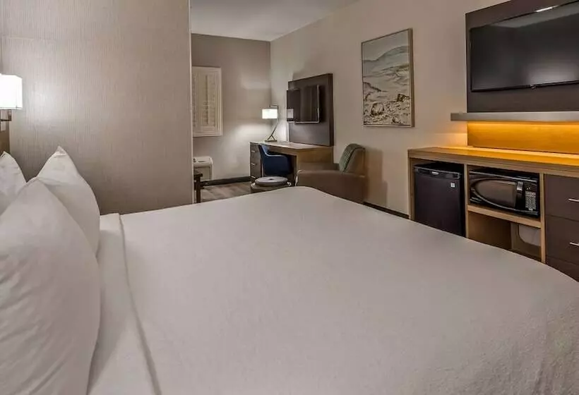 スイート, Best Western Plus Safford