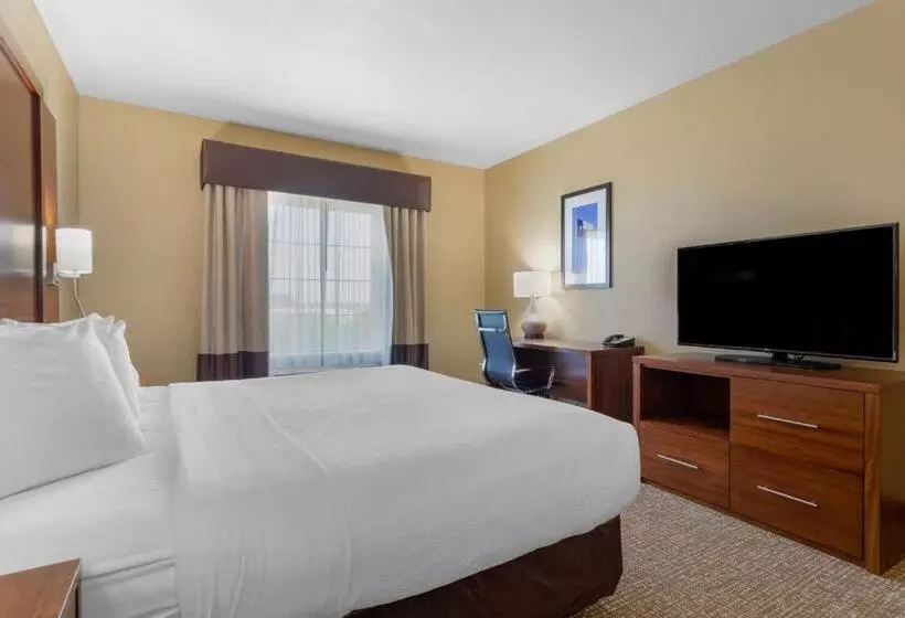 キングサイズベッドのスタンダードルーム, Best Western Texas City