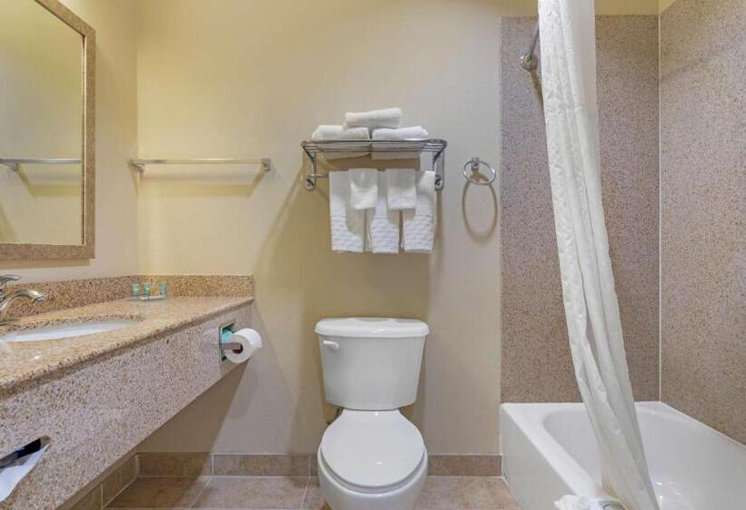 חדר סטנדרט עם מיטת קינג, Best Western Texas City
