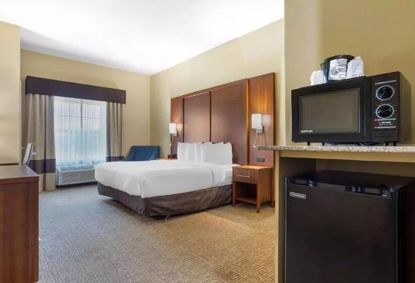 身障者適用キングサイズベッドルーム, Best Western Texas City