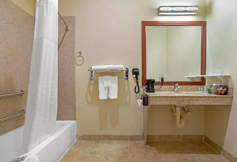 身障者適用キングサイズベッドルーム, Best Western Texas City