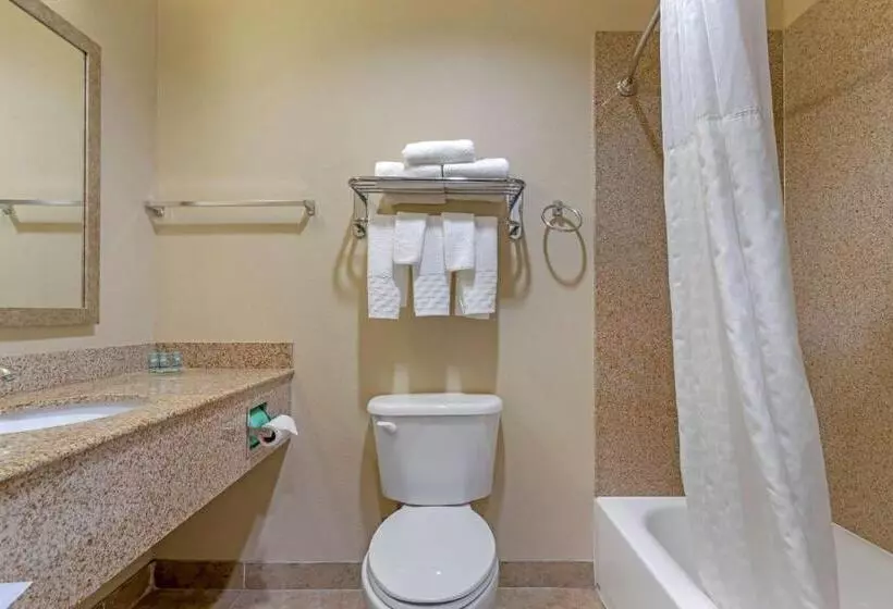 スタンダードルーム, Best Western Texas City